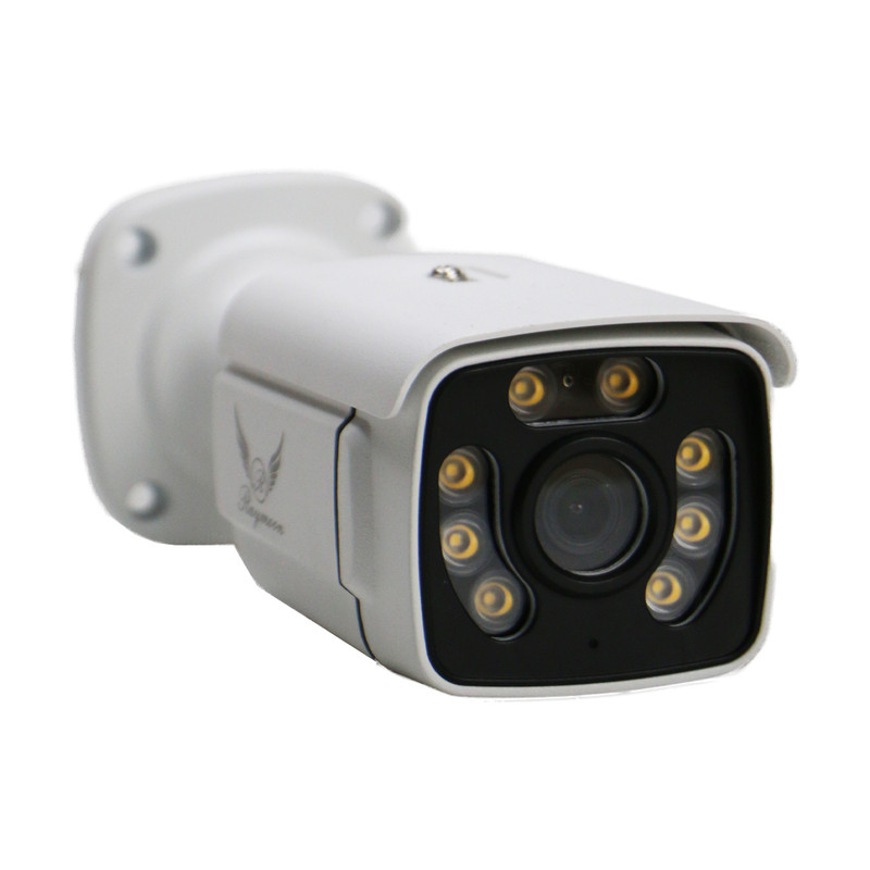 دوربین مداربسته تحت شبکه رایمون مدل IP-POE کد 8320