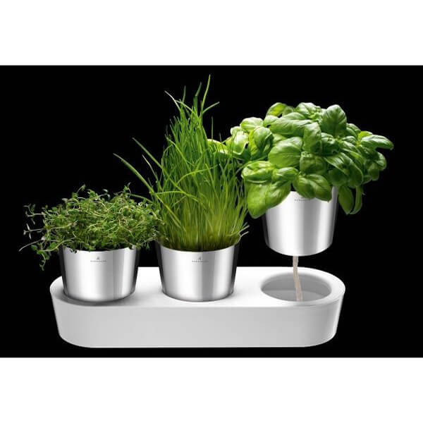 گلدان هوشمند دبلیو ام اف مدل B3 مجموعه سه عددی