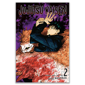کتاب Jujutsu Kaisen 2 اثر Gege Akutami انتشارات VIZ Media LLC