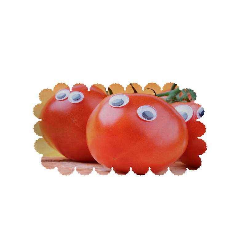 رومیزی طرح گوجه فرنگی کد 6326R