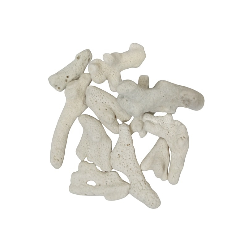 مرجان آکواریوم مدل تزیینی کد 01 وزن 100 گرم