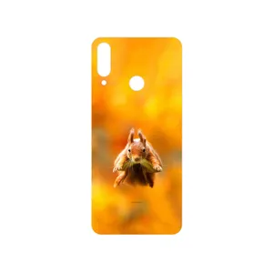 MAHOOT Squirrel Cover Sticker for LG W30