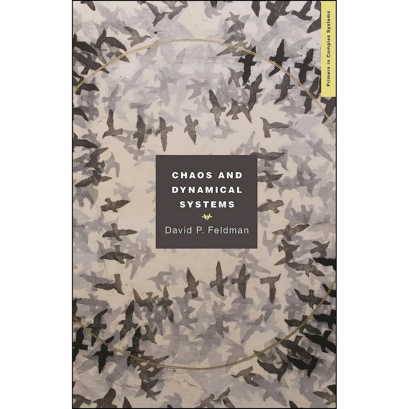 کتاب Chaos and Dynamical Systems  اثر David Feldman انتشارات Princeton University Press