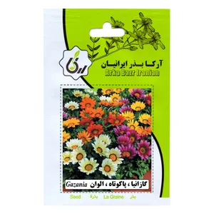 بذر گازانیا پا کوتاه الوان آرکا بذر ایرانیان مدل C123