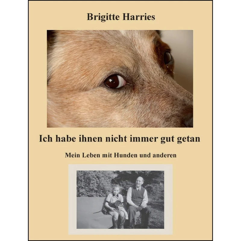 کتاب Ich habe ihnen nicht immer gut getan اثر Brigitte Harries انتشارات Books on Demand