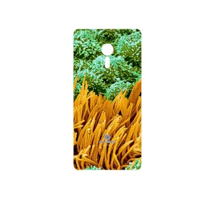 MAHOOT Atom Universe 6 Cover Sticker for Lenovo ZUK Z2 Pro