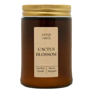 شمع معطر اورین مدل لیان کاکتوس بلوسام