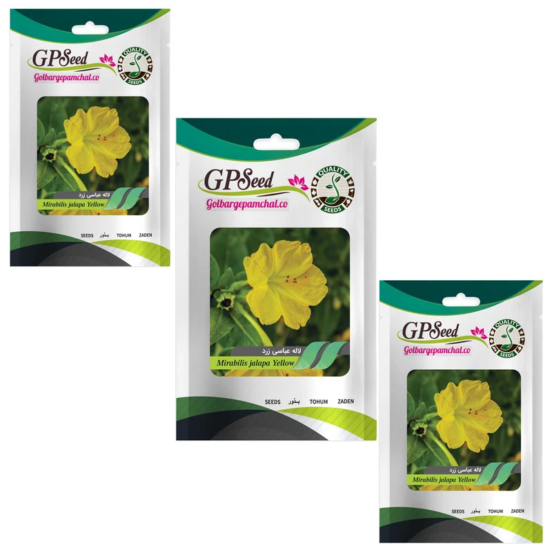 بذر گل لاله عباسی زرد گلدانی گلبرگ پامچال کد GPF-266 مجموعه 3 عددی