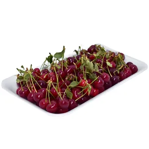 آلبالو درجه یک - 10 کیلوگرم