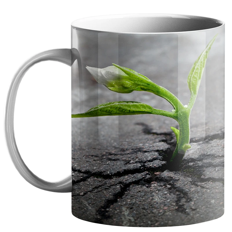 ماگ طرح سه بعدی کد 270