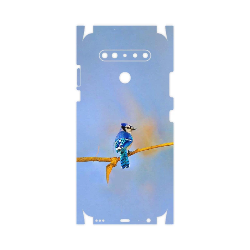 برچسب پوششی ماهوت مدل Cyanocitta cristata-FullSkin مناسب برای گوشی موبایل ال جی K41s