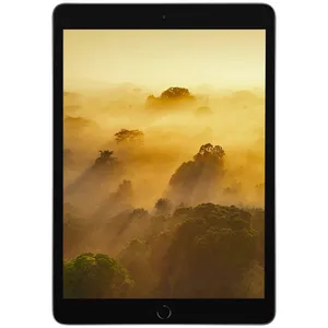 تبلت اپل مدل iPad 9th Generation 10.2-Inch cellular 2021 ظرفیت 64 گیگابایت 