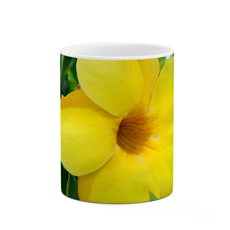 ماگ کاکتی طرح گل کد mgp11336