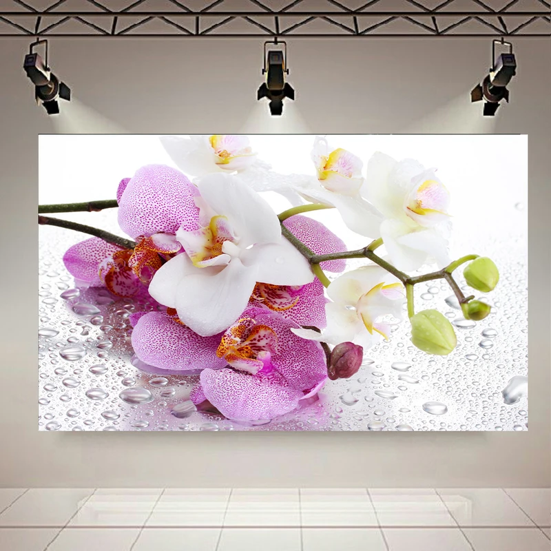 تابلو بوم طرح گل مدل Pink Orchids Macro کد AR2816