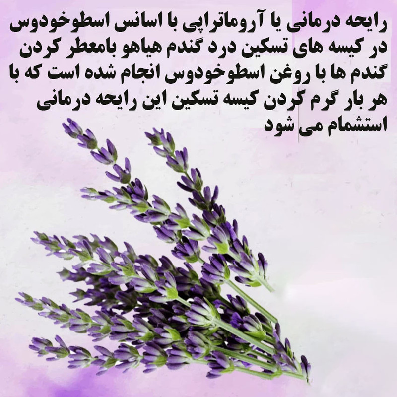 کیسه تسکین درد هیاهو مدل آروماتراپی اسانس اسطوخودوس کد Wheat-20x15
