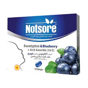 آبنبات سرد طعم بلوبری ناتسور  - 30 گرم