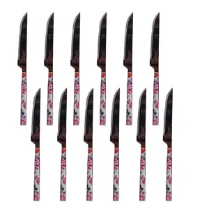 کارد میوه خوری زولینگن کد 9049 بسته 12 عددی 