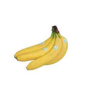 موز درجه یک اکوبیو 1 کیلو گرم