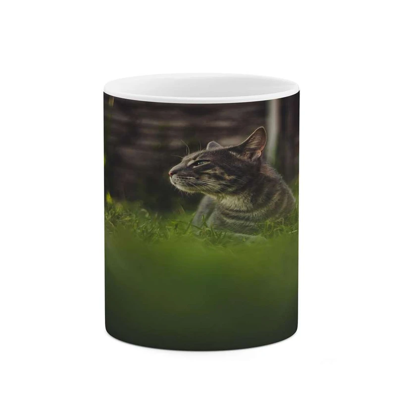 ماگ کاکتی مدل گربه کد mgh14332