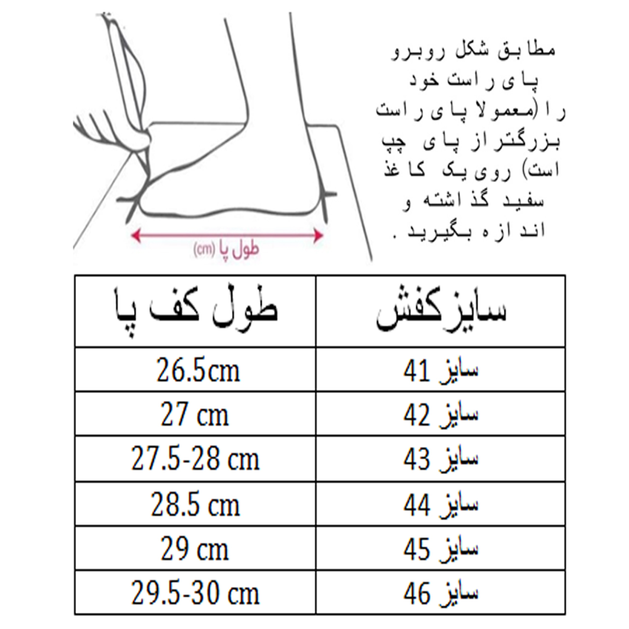 کفش فوتسال مردانه مدل آلفا کد C-8160