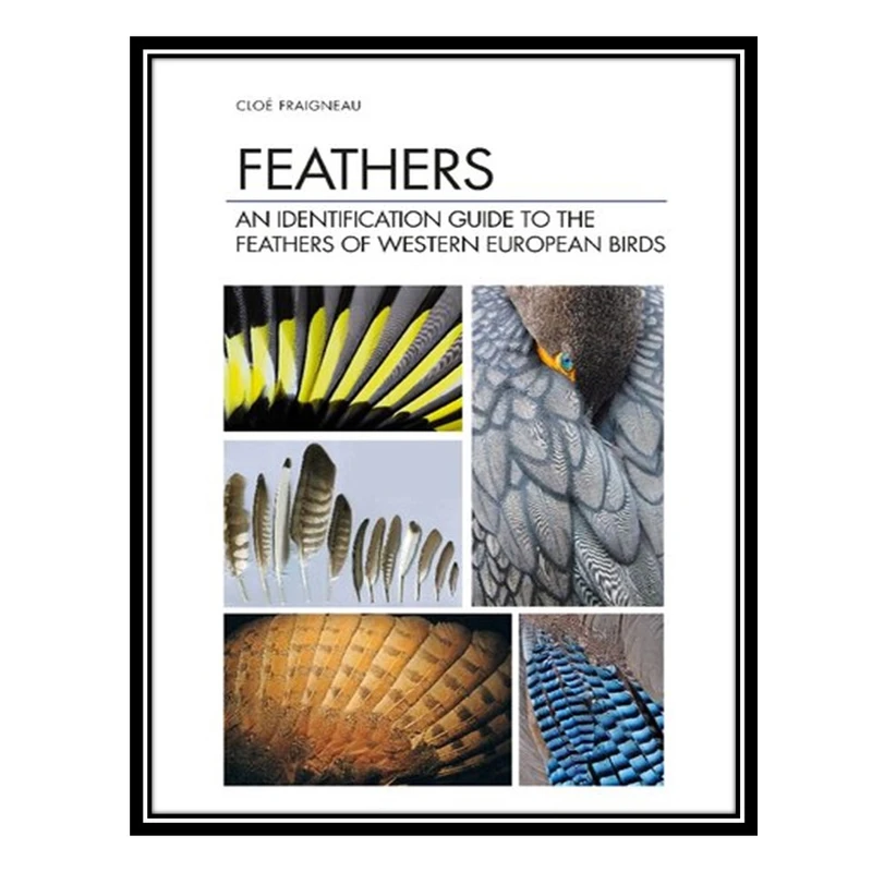 کتاب Feathers: An Identification Guide to the Feathers of Western European Birds اثر Cloé Fraigneau انتشارات مؤلفین طلایی