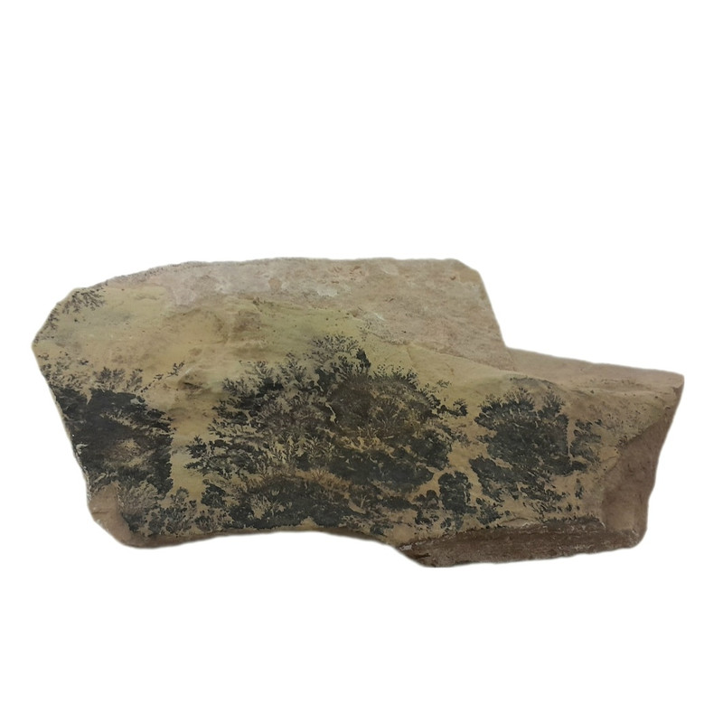 سنگ راف شجر مدل فسیلی کد 155