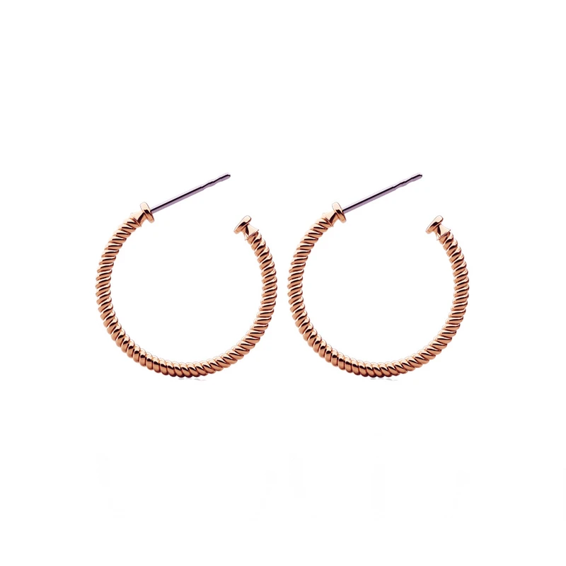 گوشواره حلقه ای زنانه پاول هویت مدل rope hoop