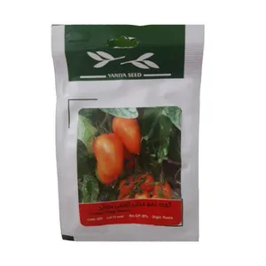 بذر گوجه تخم مرغی نارنجی درختی وانیا سید کد G43