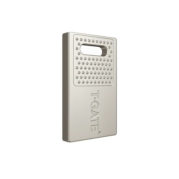 فلش مموری تی گیت مدل T110 ظرفیت 16 گیگابایت با رابط USB2.0
