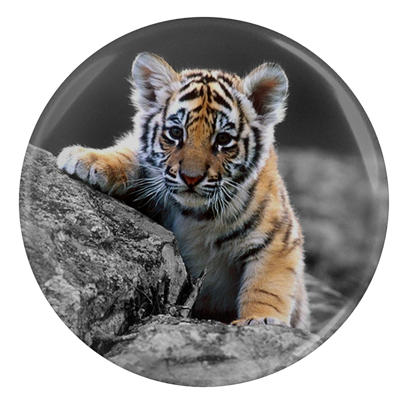 پیکسل طرح ببر مدل S3104