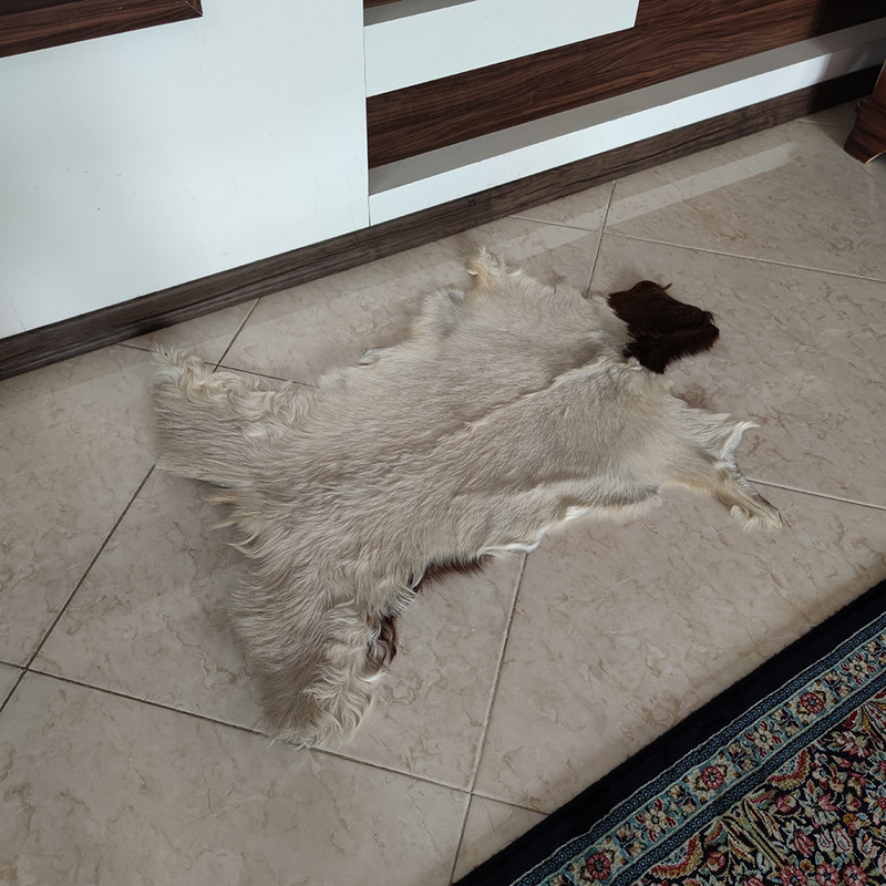 فرش پوست مدل PB4600