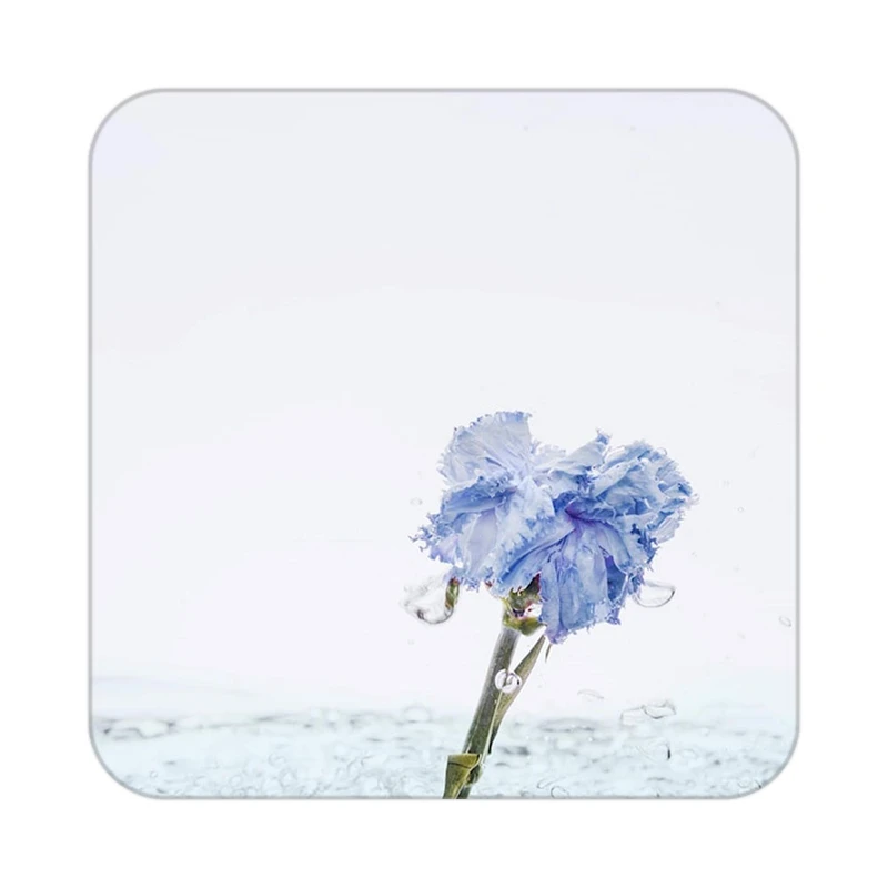 زیر لیوانی کاکتی طرح گل مدل mp16450