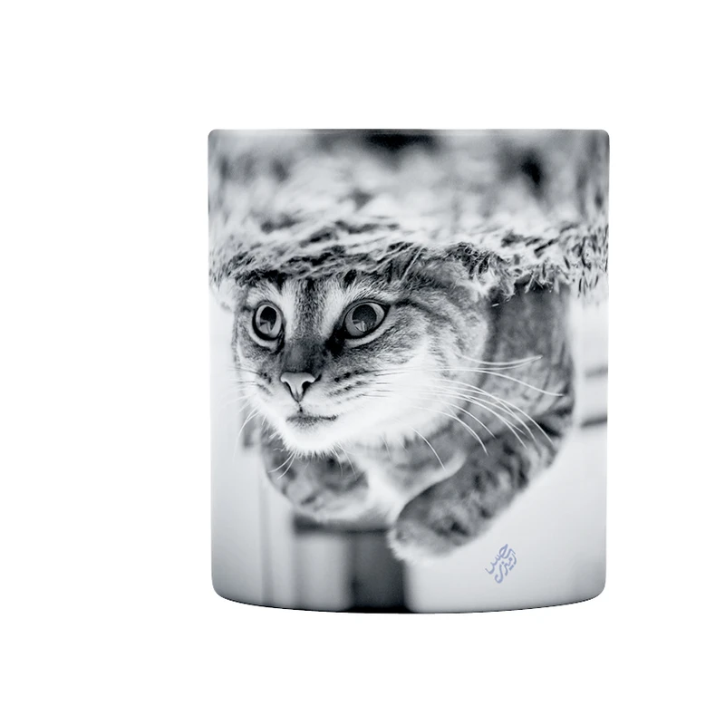 ماگ حس آمیزی طرح شنای گربه مدل گربه زیر آب