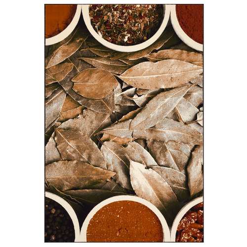 فرش ماشینی سهند طرح آشپزخانه ادویه کد V144.0A