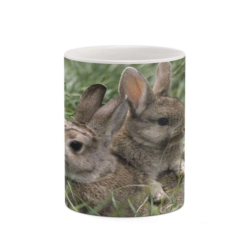 ماگ کاکتی مدل خرگوش کد mgh19238