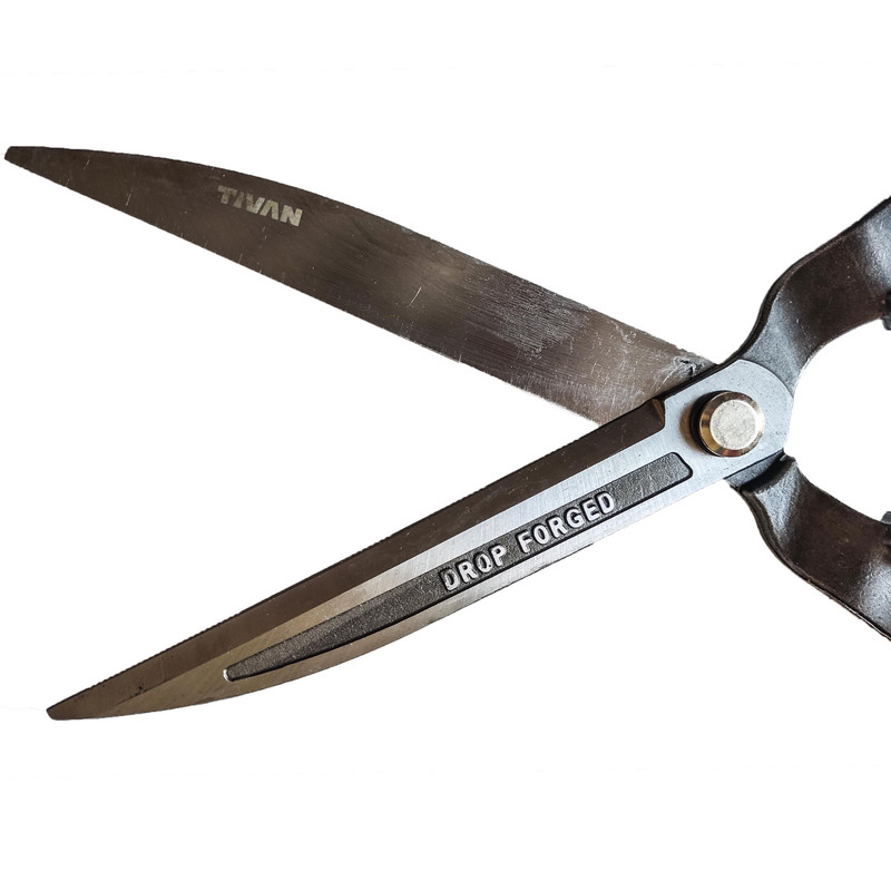 قیچی شمشاد زن تیوان مدل WDDR - 200