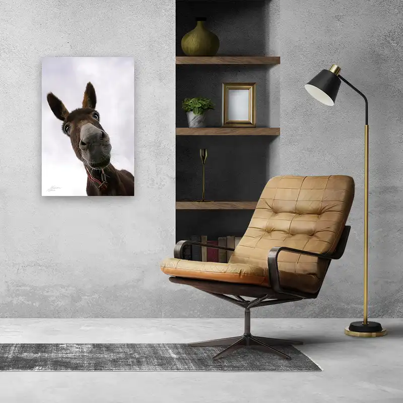 پوستر طرح خر مدل NV0028