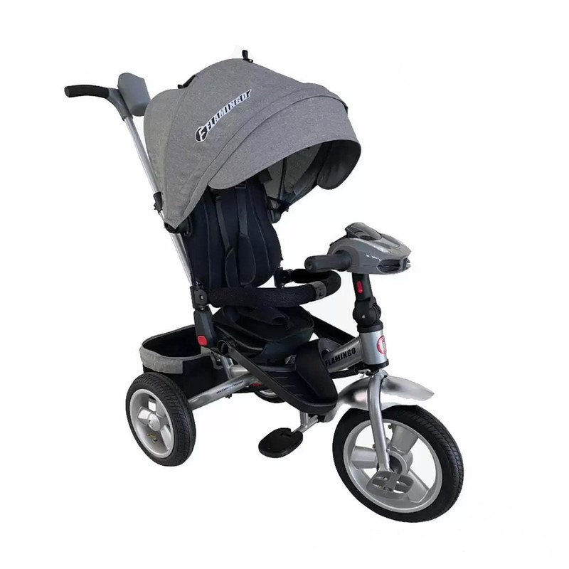 سه چرخه کودک فلامینگو مدل T400