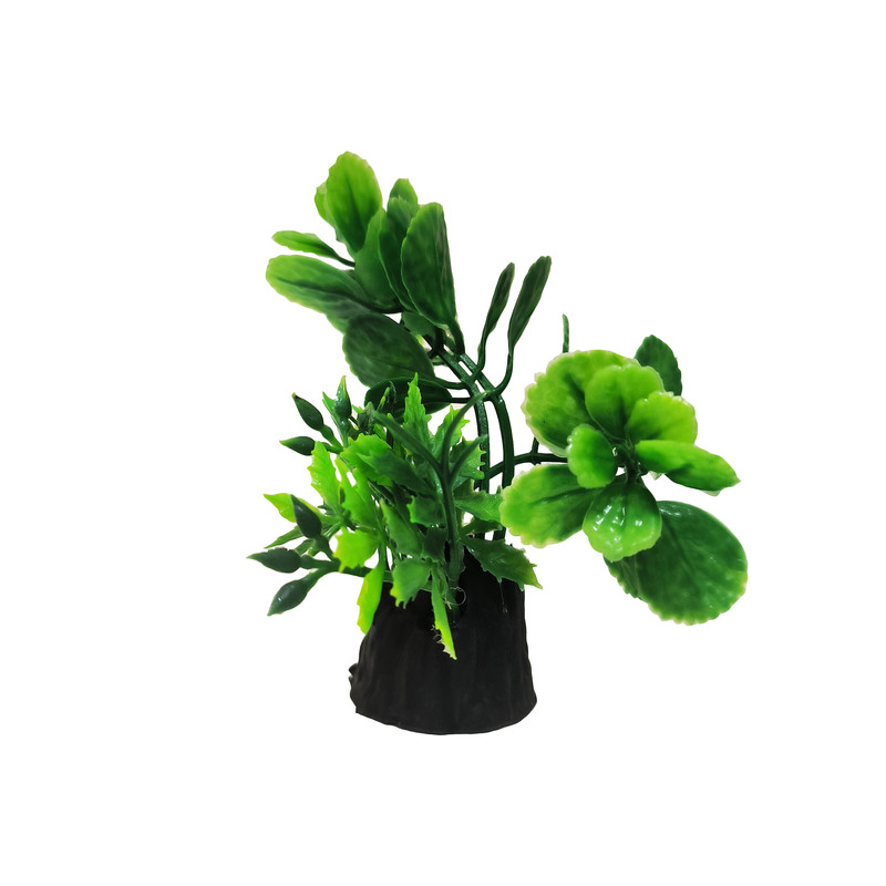 آکواریوم کد Aqua03 به همراه شن و گیاه