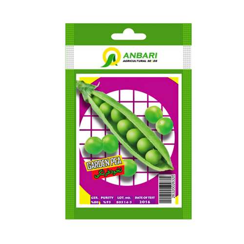 بذر نخود فرنگی بذر عنبری کد BZA-076