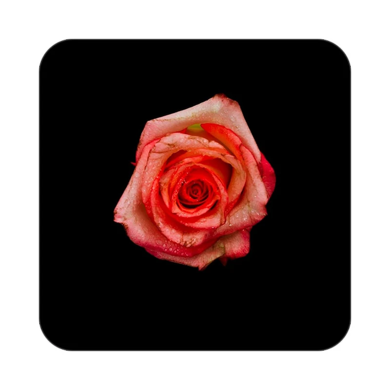 زیر لیوانی کاکتی طرح گل مدل mp19229