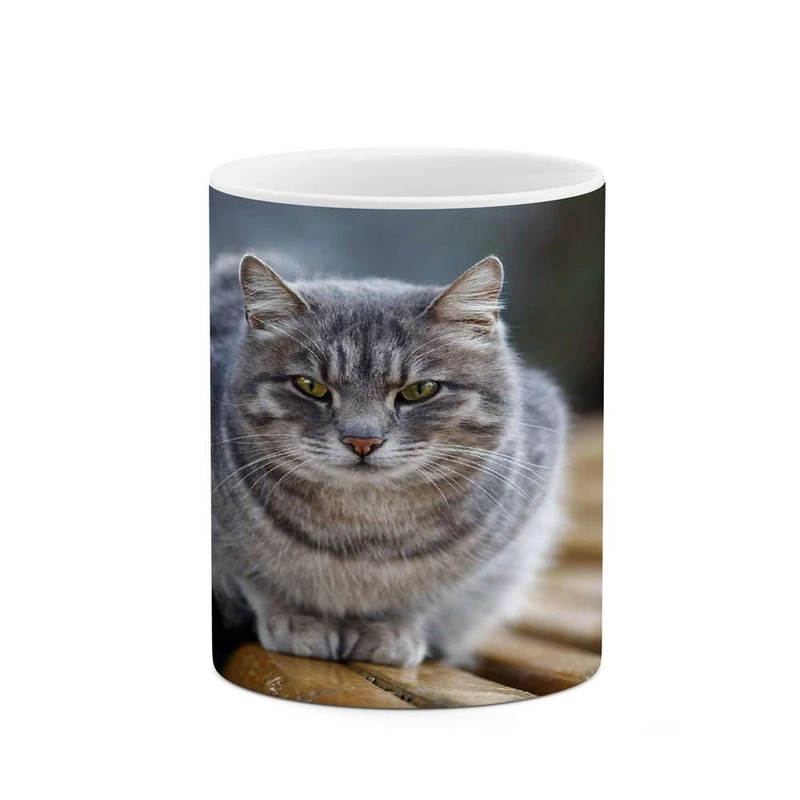 ماگ کاکتی مدل گربه کد mgh14121