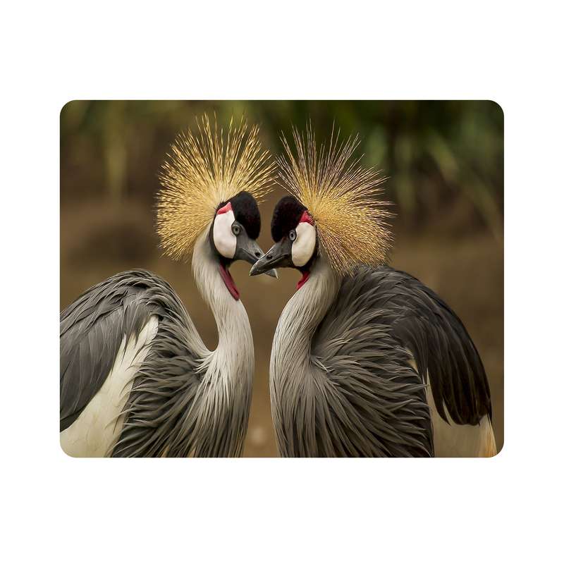 ماوس پد اطلس آبی طرح پرنده درنا  مدل T7949