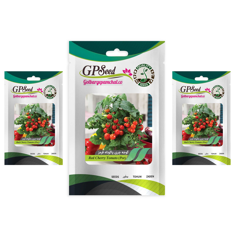 بذر گوجه چری پاکوتاه قرمز گلدانی گلبرگ پامچال کد GPF-207 مجموعه 3 عددی