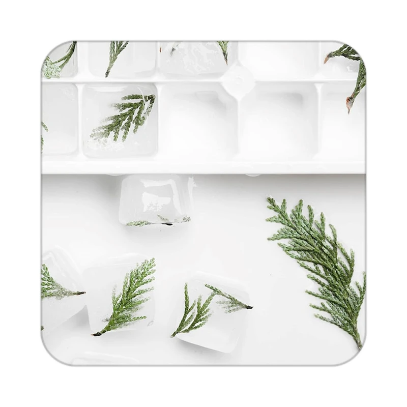 زیر لیوانی کاکتی طرح گل مدل mp17787