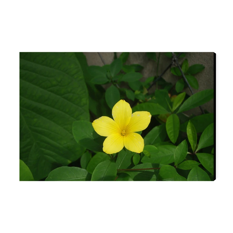 تابلو شاسی عرش مدل فانتزی گل کد As5049