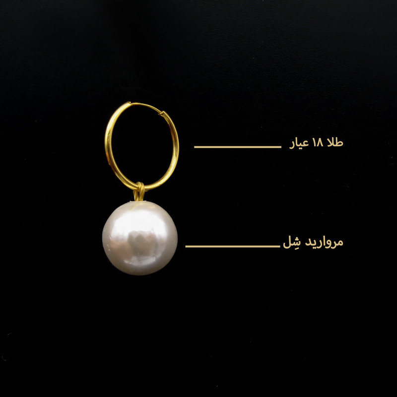 گوشواره طلا 18 عیار زنانه کاپانی مدل ke025