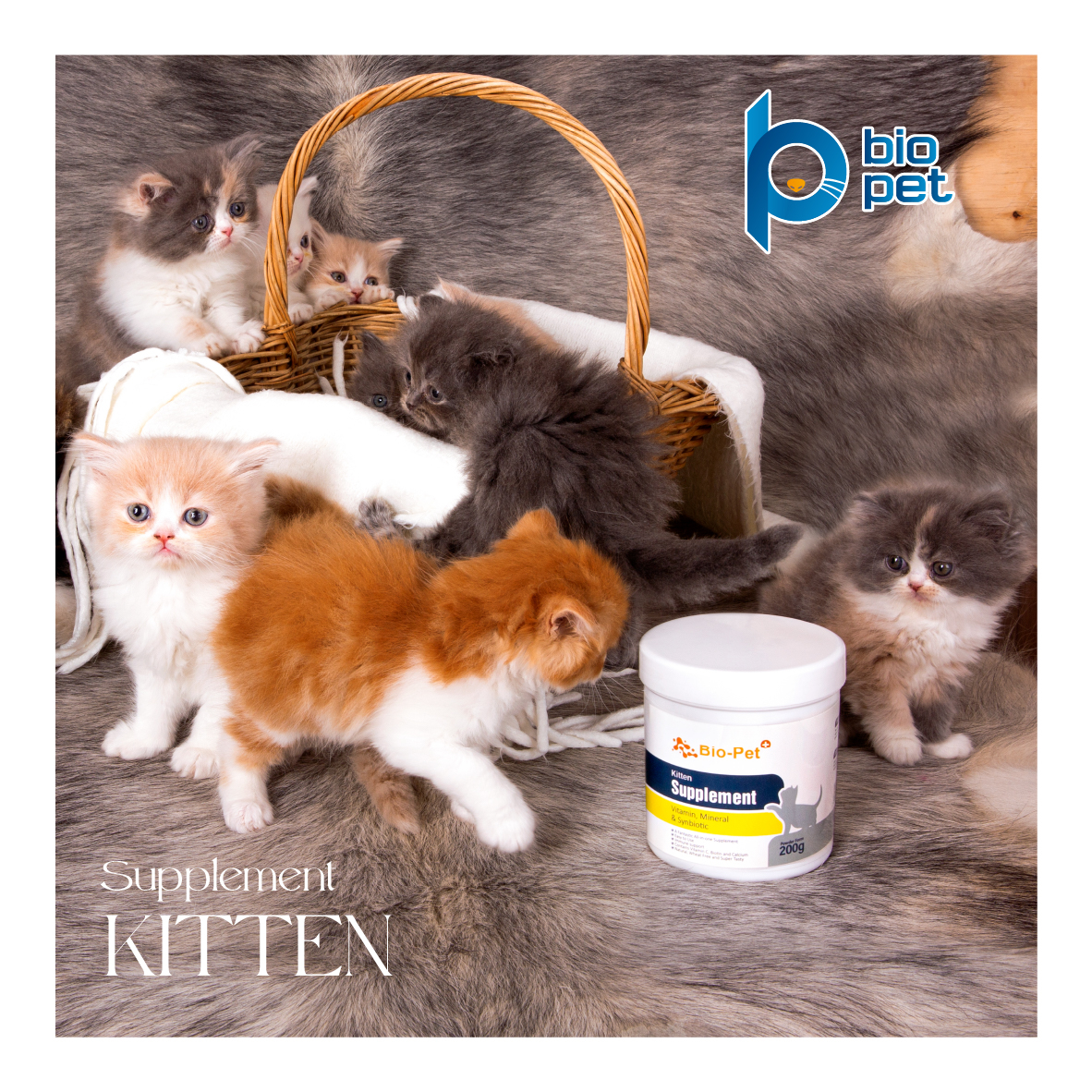 پودر مکمل گربه بایو پت مدل kitten وزن 200 گرم