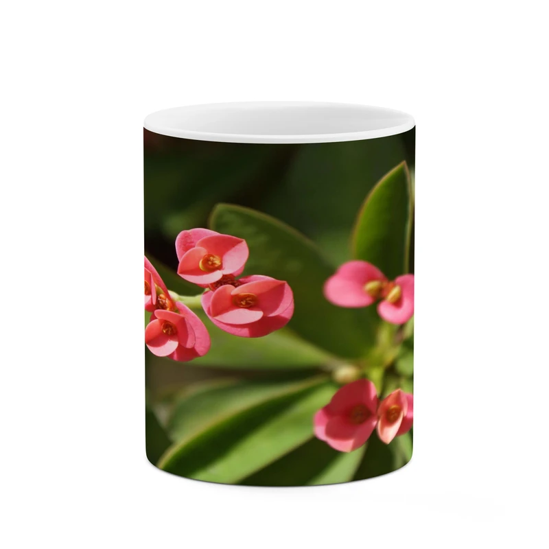 ماگ کاکتی مدل گل کد mgh17712