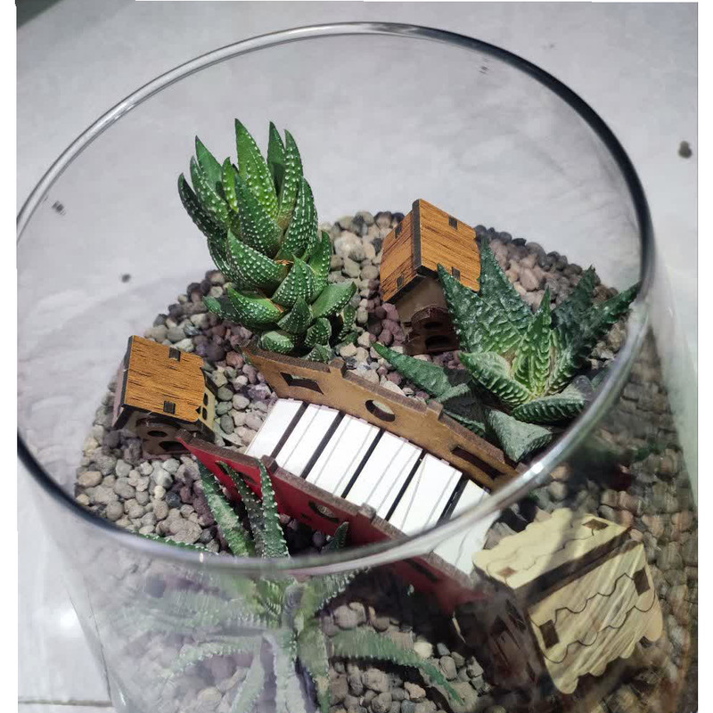 تراریوم کاکتوس مدل کلبه کد 001 تراریوم کاکتوس مدل کلبه کد 001